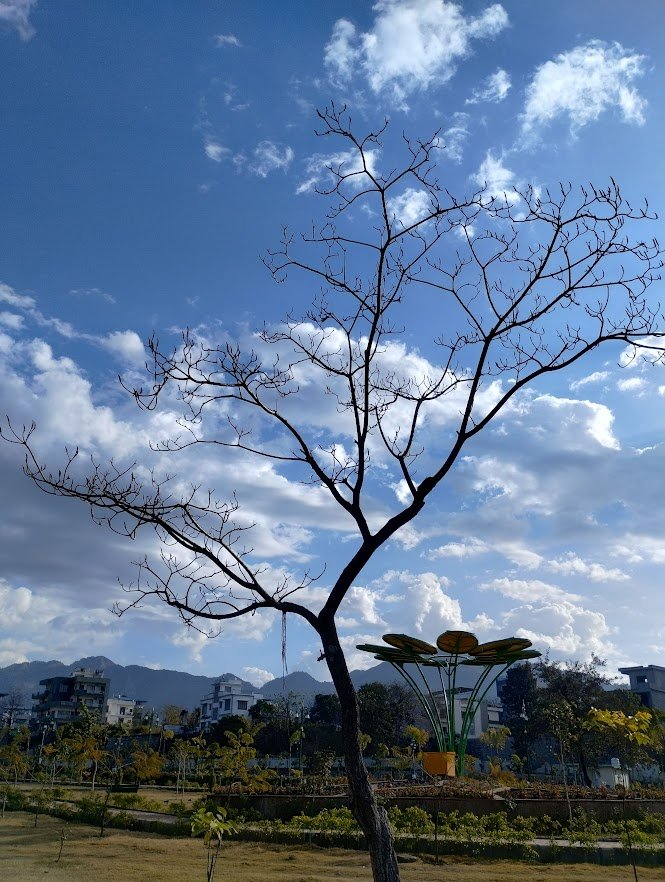 img 20260127 092720065 hdr