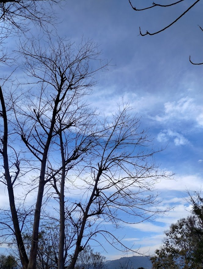 img 20260130 160053572 hdr