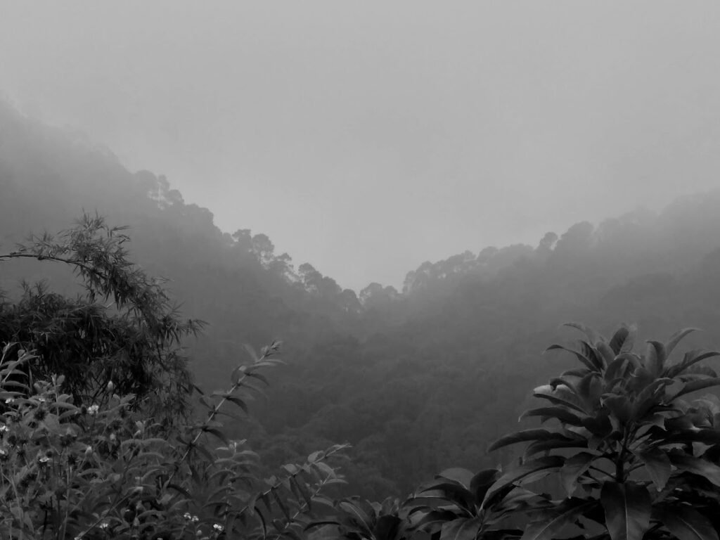 Monochrome vista 5