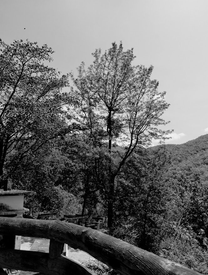 Monochrome vista 3