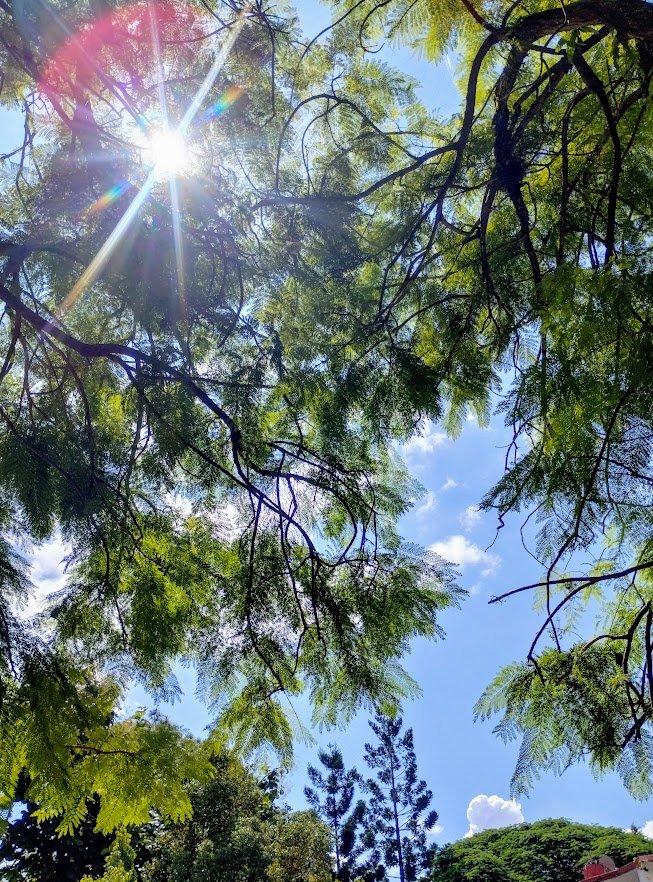 sun peeking through