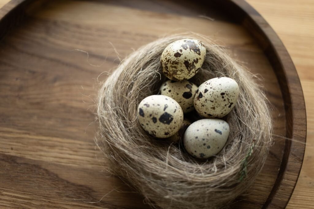 image showing five eggs in a nest by ekaterina bolovtsova 